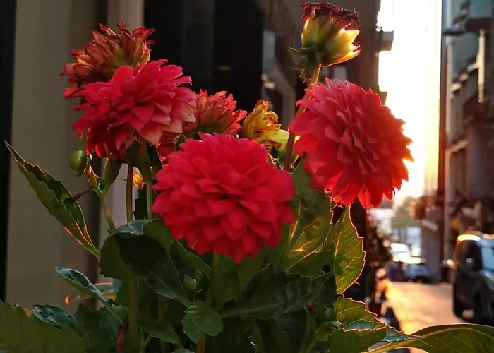 Taksim Diamond Istanbul