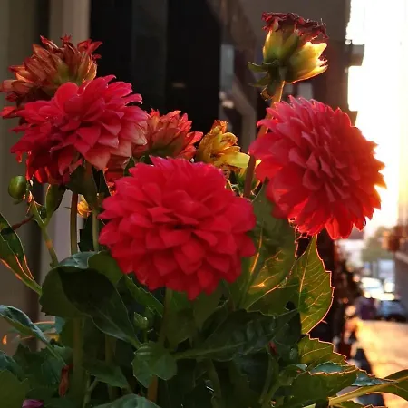 Taksim Diamond Istanbul