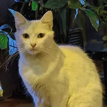 Ξενοδοχείο Taksim Diamond 2*